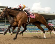 Twin City Wins the King Corrie by a nose on May 21, 2023, at Woodbine Racetrack with jockey Gary Boulanger in the irons.