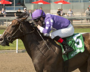Artie's Storm winning the Gr. 2 Stella Artois Eclipse on May 29.