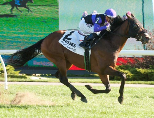 Rock-steady Awesome Bourbon set for Steady Growth assignment