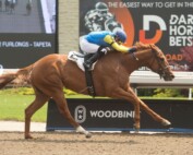 Foolish Games and jockey Omar Moreno winning on May 21, 2023 at Woodbine (Michael Burns Photo)