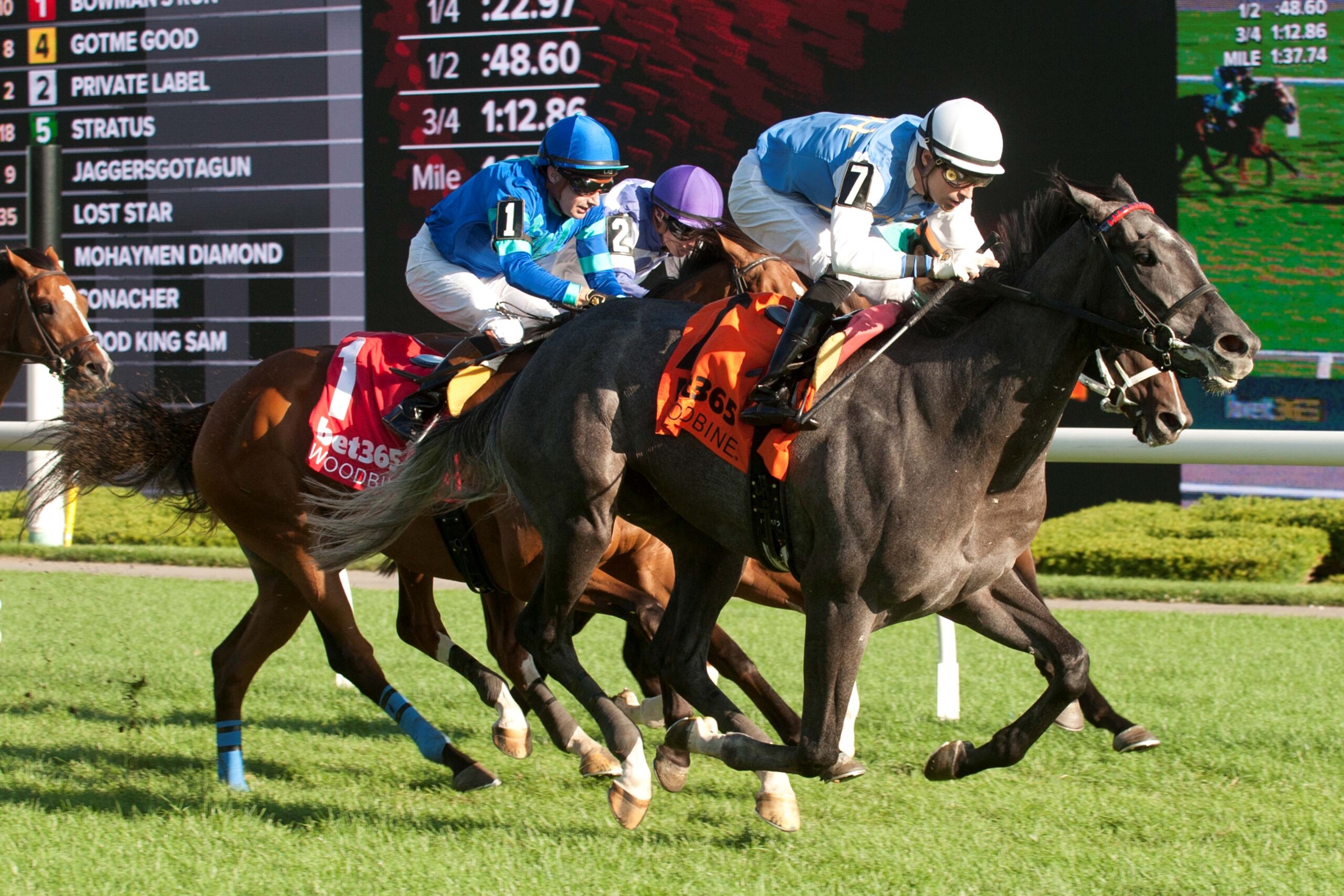 Ciunas and jockey Sahin Civaci winning Race 10 on Aug. 24, 2025 at Woodbine (Michael Burns Photo)