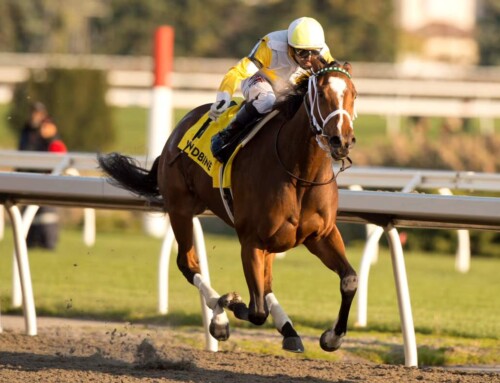 Rookies share the spotlight in Saturday’s Coronation Futurity, Princess Elizabeth