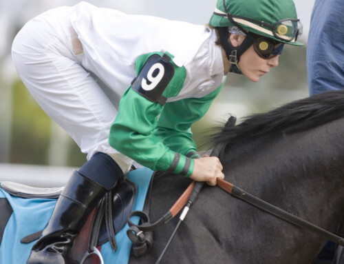 Personal Plate connections: Four windows onto Canada’s oldest, most prestigious horse race