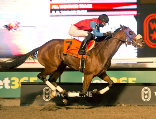 Fire and Wine Fuels King’s Plate Dreams for Owner Paul Ryder