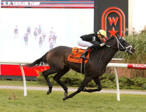 Attard trio look to go the extra mile in Grade 3 bet365 Valedictory