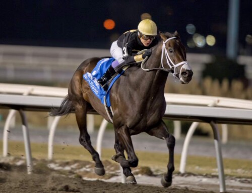 Hammerhead comes up huge in Grade 3 Valedictory