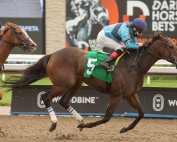 Hello Friends wins an allowance race on October 10, 2022 at Woodbine Racetrack.