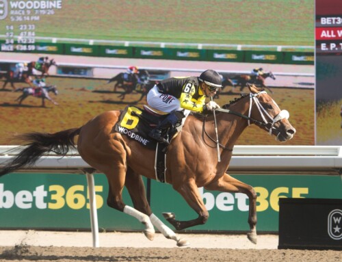 Ontario-bred Highwaytothemoon shows route capability in Plate Trial victory