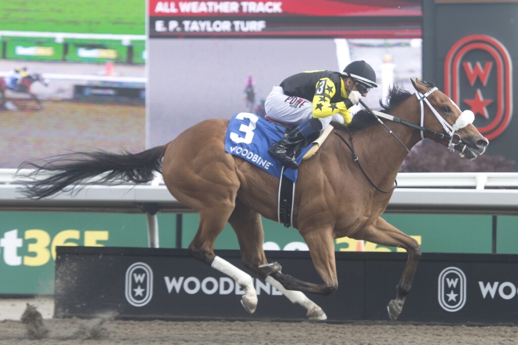 On Sunday (June 7), Desruisseaux pupil Highwaytothemoon (Rafael Hernandez) won the $125,000 Queenston Stakes at Woodbine (Michael Burns photo).