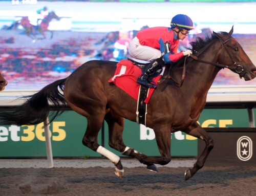 Hint in the hunt for La Prevoyante win