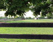Farm of Raffaela and Carmen Di Paola
