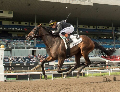 Ontario Breds Katie’s Grace, English Actor score in Woodbine stakes
