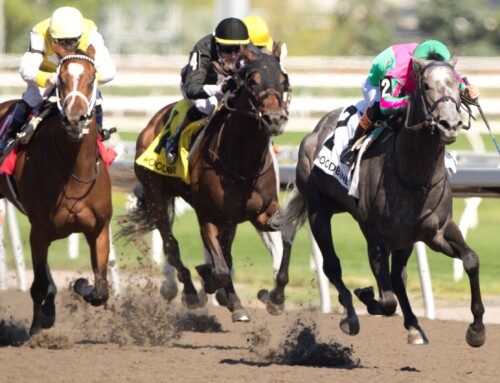 Ontario-bred Luster regains her winning edge in sparkling Selene victory ​ ​
