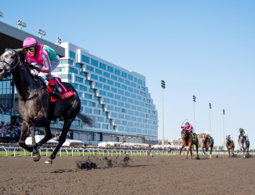 Finding the diamond in the rough: Lessons from the man that bred the queen of the King’s Plate