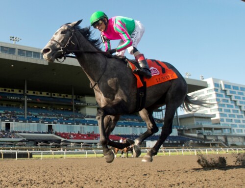 Ontario-bred Luster dominant in Woodbine Oaks