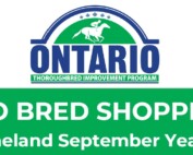 Ontario Bred Shopping List - 2026 Keeneland September Yearling Sale
