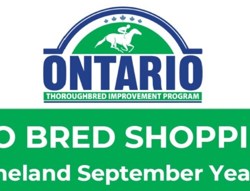 Your shopping list for Ontario Breds selling at the Keeneland September Yearling Sale