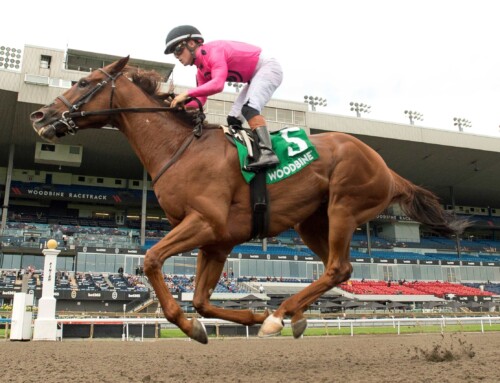 Ontario Bred Paramount Prince dominates inaugural Caledon Stakes
