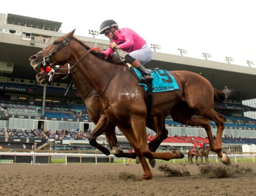 Ontario-bred Paramount Prince digs in late to score Seagram double