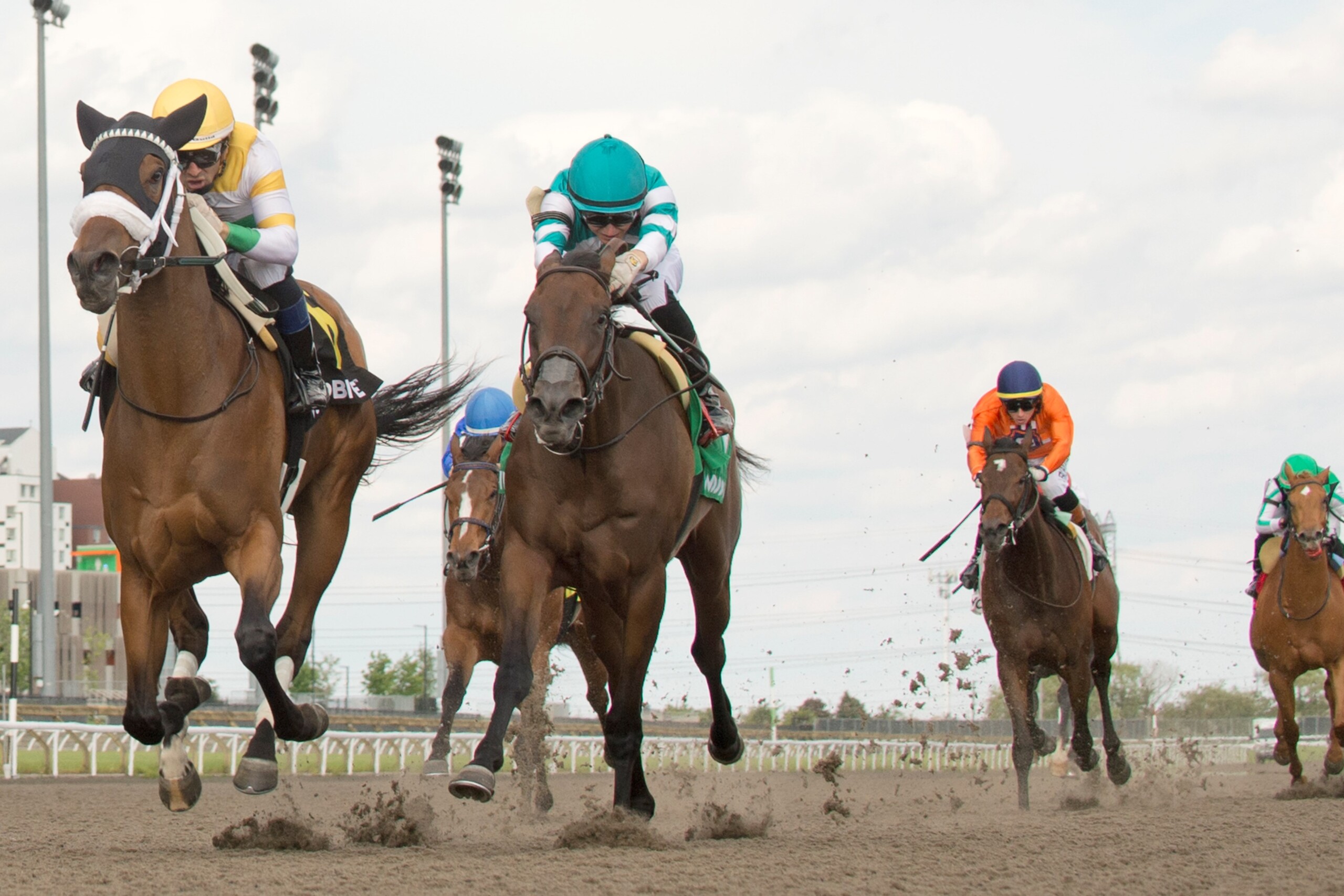 On Saturday (June 6), Dale Desruisseaux trainee Piper's Gift (Rafael Hernandez) won the $125,000 Fury Stakes at Woodbine.
