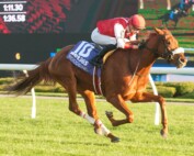 Regal Moment and jockey Pietro Moran winning Race 2 on Oct. 2, 2025 at Woodbine (Michael Burns Photo)