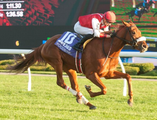 Ontario Sired Heritage Series finales on tap on Sunday at Woodbine