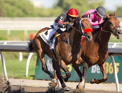Ontario-bred Runaway Again rallies to win Grade 3 Dominion Day