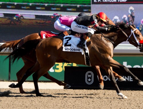 Curtain-raising edition of TIP’s Caledon Stakes goes to the gate on Sunday