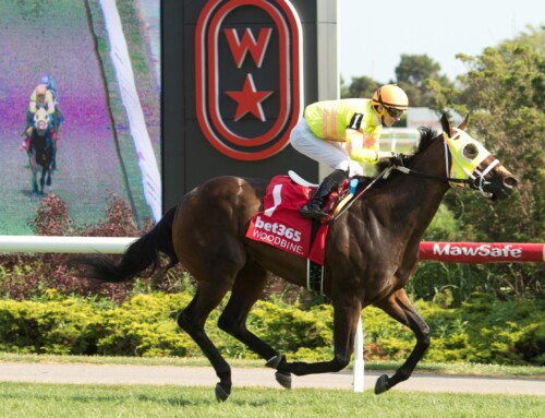 Eight horses earned bonus money in the Ontario-Sired Heritage Series