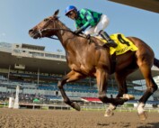 Scorching and jockey Patrick Husbands winning the Simcoe Stakes on August 25, 2024 at Woodbine (Michael Burns Photo)