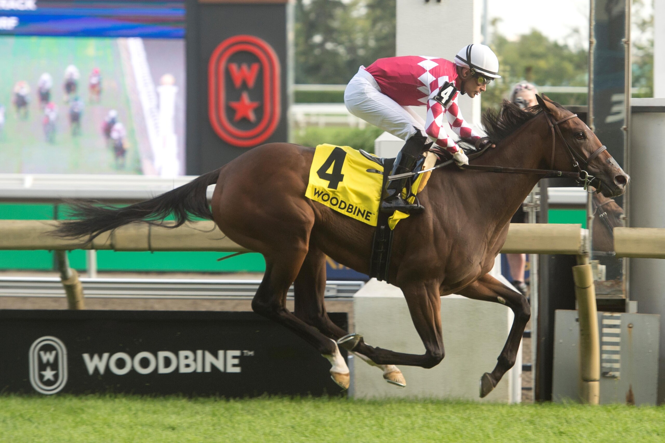 Shifty and jockey Sahin Civaci winning the Catch a Glimpse Stakes on August 23, 2024