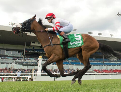 Souper Sporty scores in Georgian Bay and Duckduckduck takes Lake Huron Stakes at Woodbine