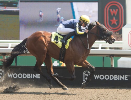 Four Yearling Sales Stakes on tap Sunday at Woodbine