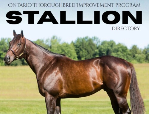 2026 TIP Stallion Directory now available