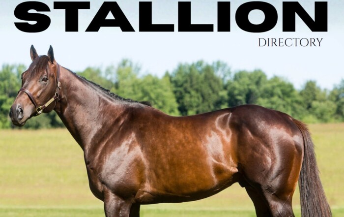 Thoroughbred Improvement Program 2026 Stallion Directory cover