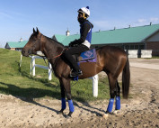 Gail Cox Trainee Tidal Forces