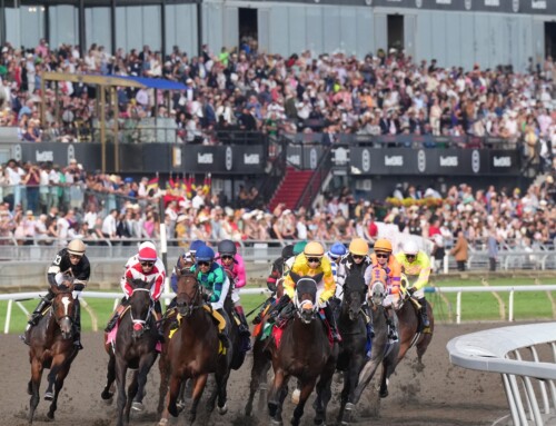 Ontario’s Thoroughbred industry receives additional funding of more than $10 million