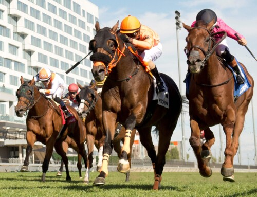 Ontario Bred Wicked Django wins inaugural Grand Valley